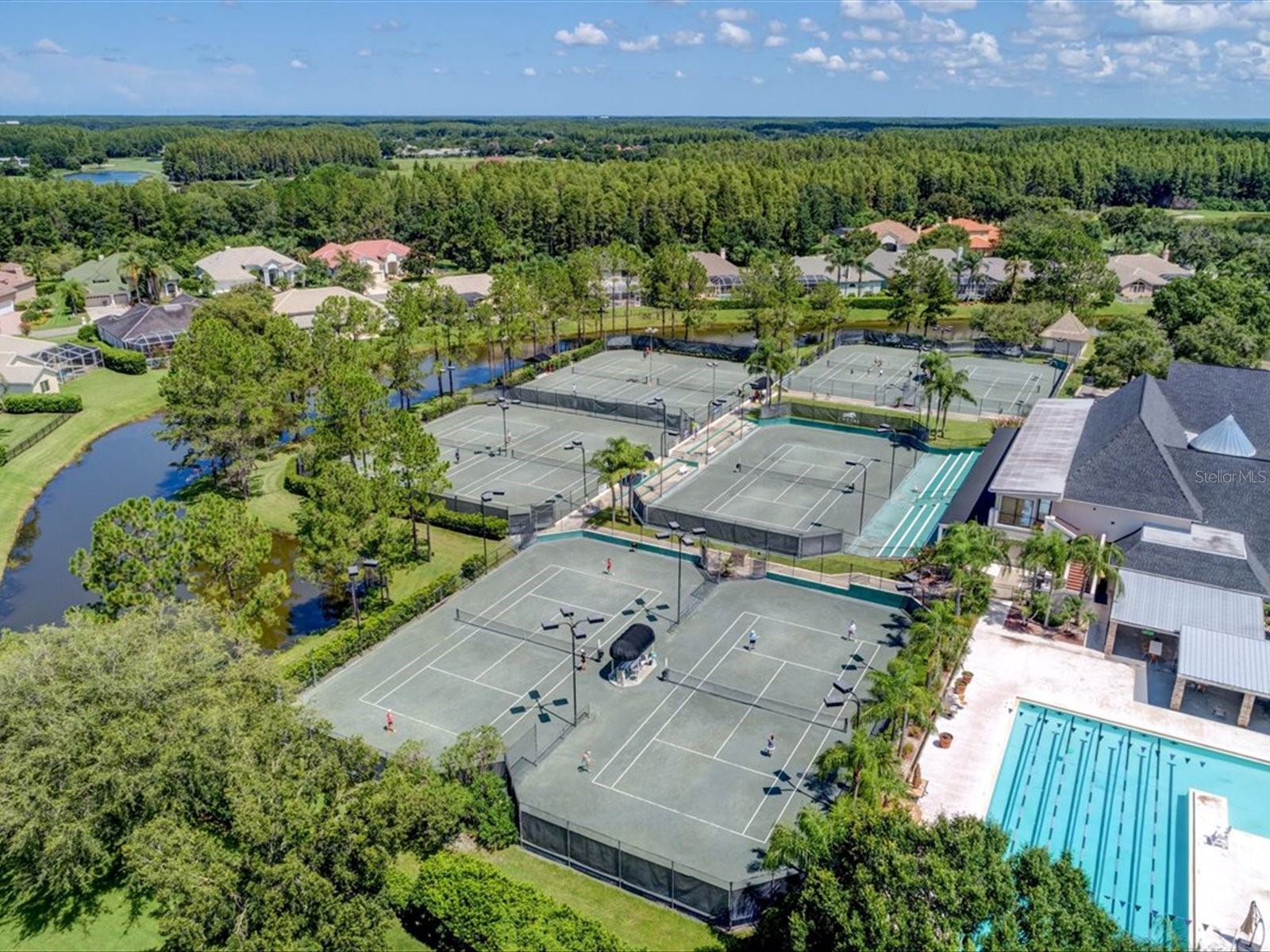 18931 Chaville Road Lutz FL 33558 TB8491376 image77