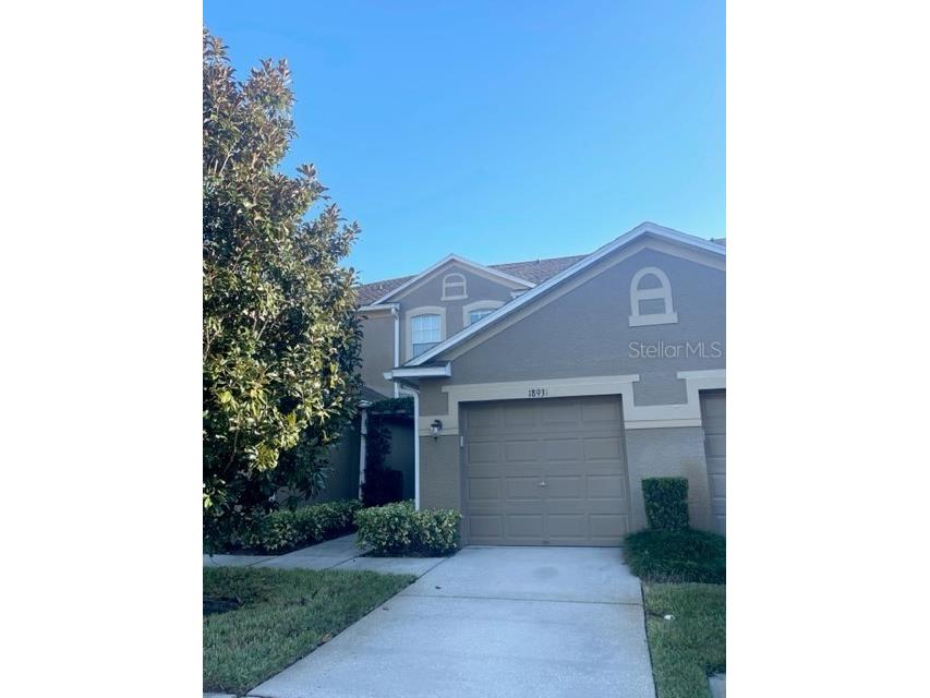 18931 Duquesne Drive Tampa FL 33647 T3480777 image1