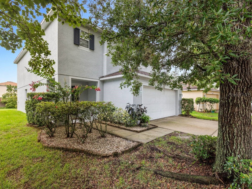 18933 Sunterra Drive Land O Lakes FL 34638 T3541673 image1