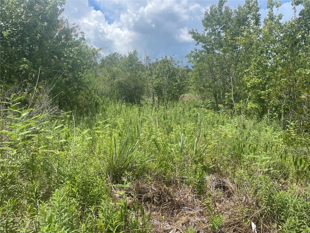 18934 NW 280th Street Okeechobee FL 34972 OK221693 image1