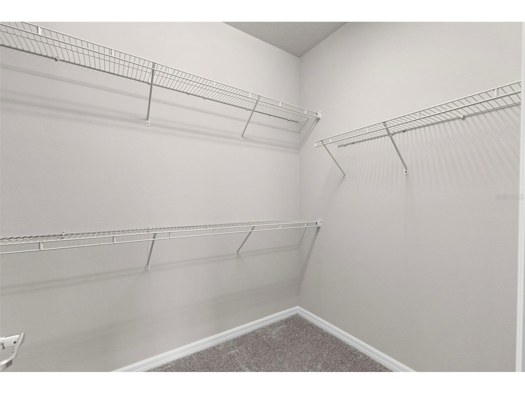 18935 Birchwood Groves Drive Lutz FL 33558 O6427663 image29