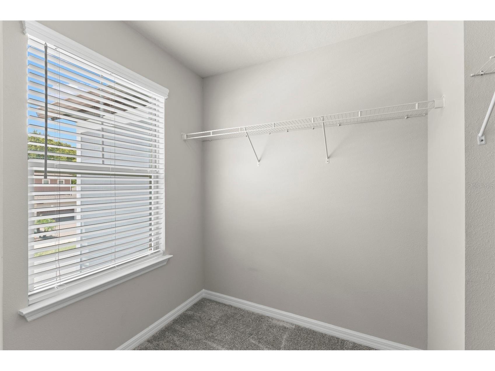 18935 Birchwood Groves Drive Lutz FL 33558 O6427663 image37