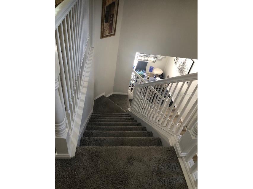 18937 Quarry Badger Road Land O Lakes FL 34638 TB8489747 image5