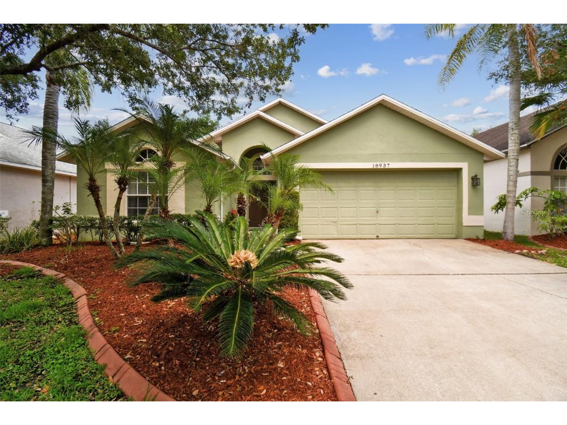 18937 Twinberry Drive Tampa FL 33647 T3529856 image1