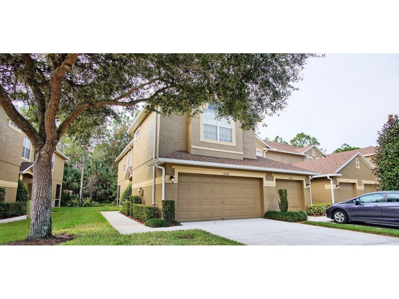 18938 Duquesne Drive Tampa FL 33647 T3334273 image1