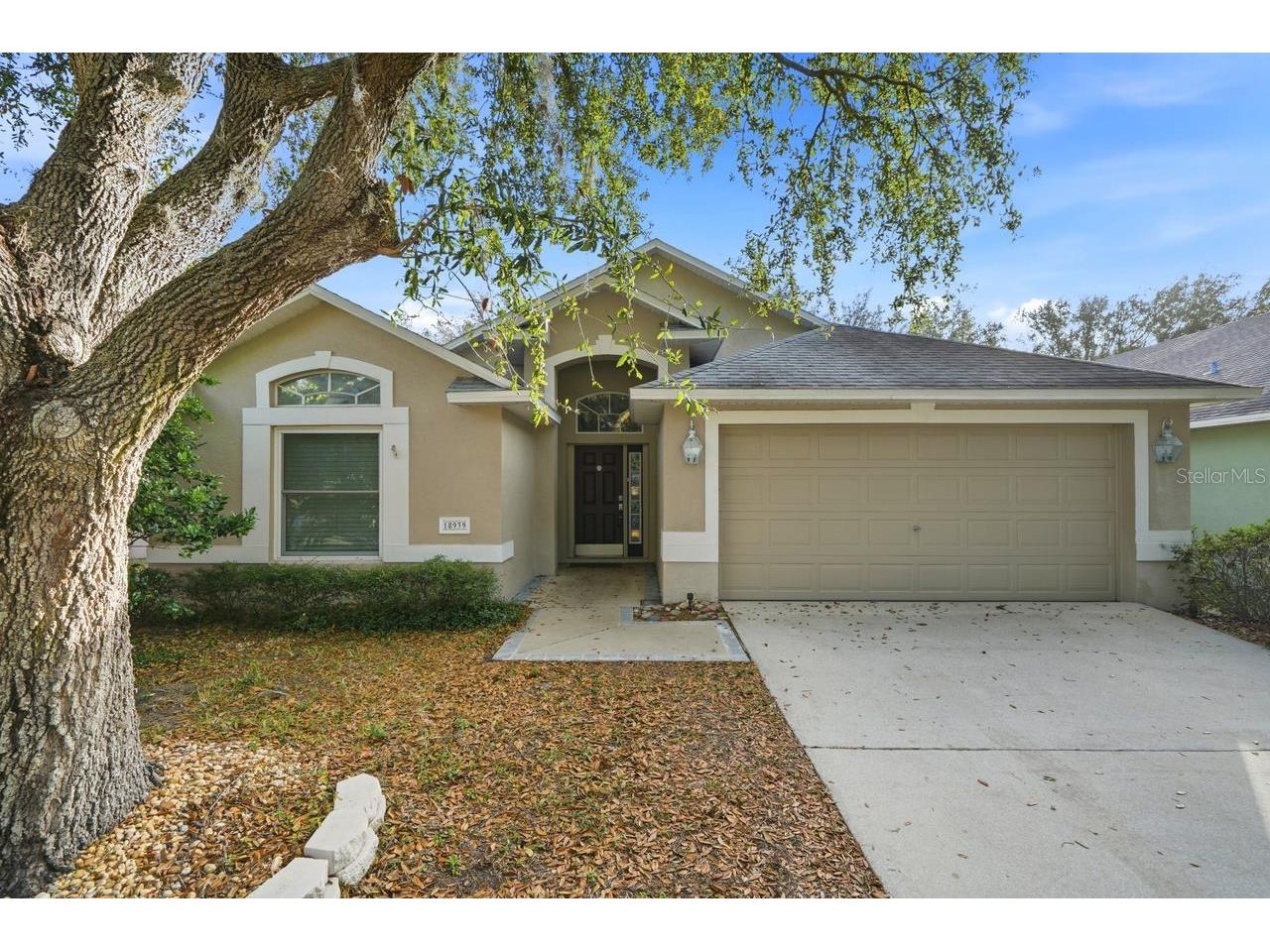 18939 Twinberry Drive Tampa FL 33647 TB8448357 image1