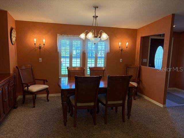 1894 Elizabeth Lane Mount Dora FL 32757 O6349472 image10