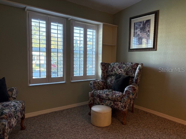 1894 Elizabeth Lane Mount Dora FL 32757 O6349472 image11