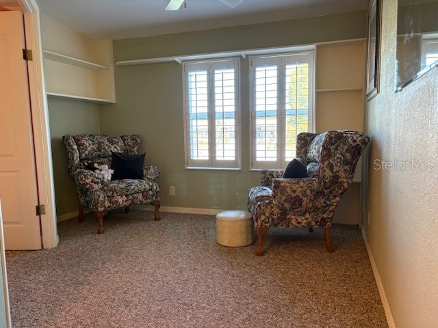 1894 Elizabeth Lane Mount Dora FL 32757 O6349472 image12