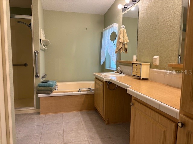 1894 Elizabeth Lane Mount Dora FL 32757 O6349472 image16