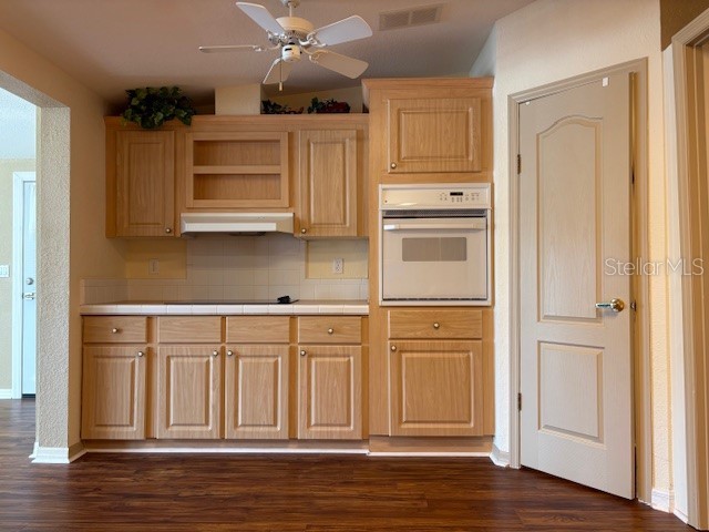 1894 Elizabeth Lane Mount Dora FL 32757 O6349472 image20