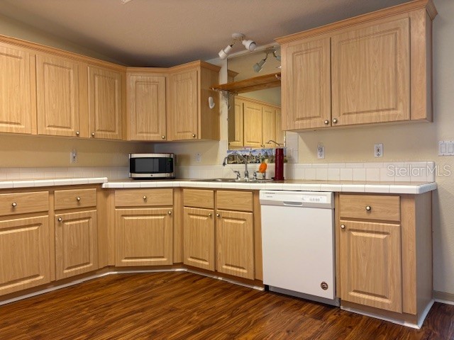 1894 Elizabeth Lane Mount Dora FL 32757 O6349472 image22