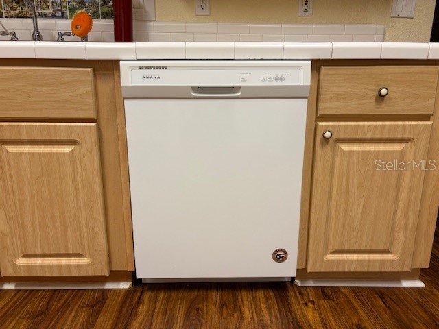 1894 Elizabeth Lane Mount Dora FL 32757 O6349472 image23