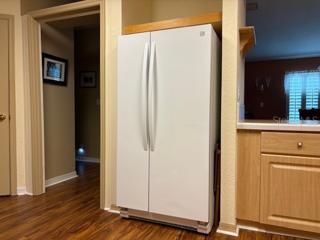 1894 Elizabeth Lane Mount Dora FL 32757 O6349472 image25