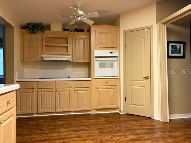 1894 Elizabeth Lane Mount Dora FL 32757 O6349472 image26