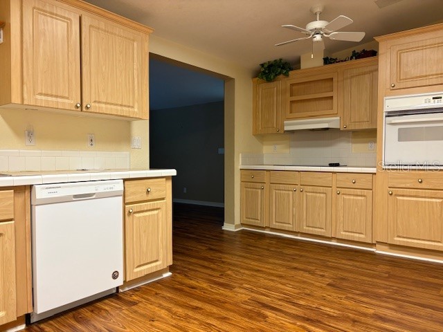 1894 Elizabeth Lane Mount Dora FL 32757 O6349472 image27