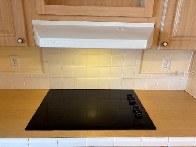 1894 Elizabeth Lane Mount Dora FL 32757 O6349472 image29