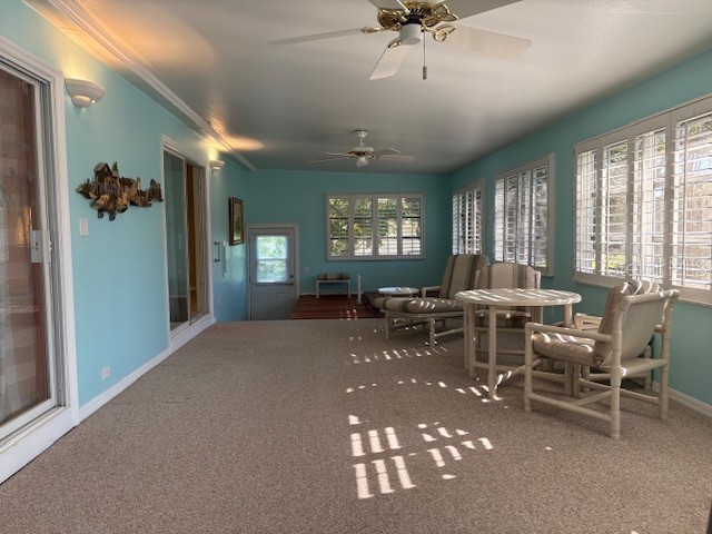 1894 Elizabeth Lane Mount Dora FL 32757 O6349472 image36