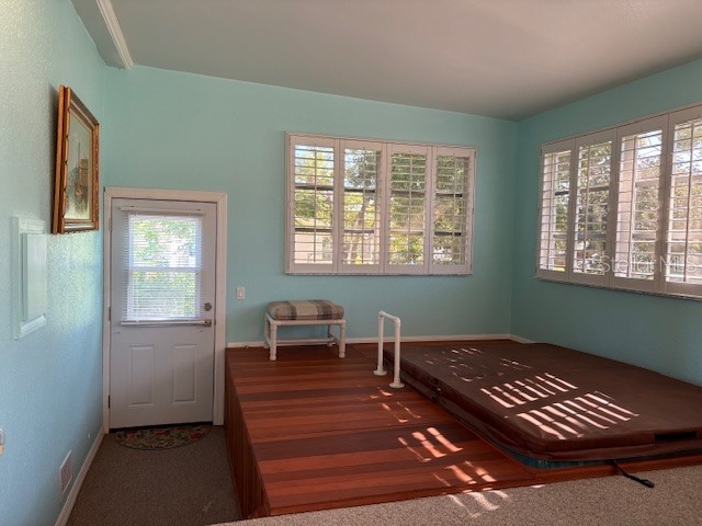 1894 Elizabeth Lane Mount Dora FL 32757 O6349472 image37