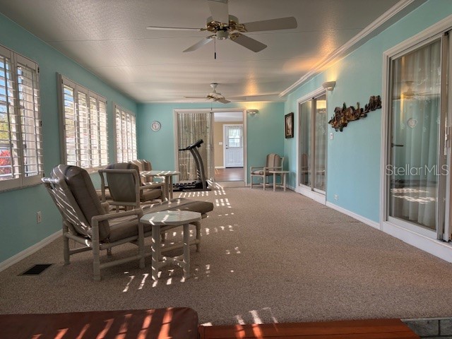 1894 Elizabeth Lane Mount Dora FL 32757 O6349472 image38