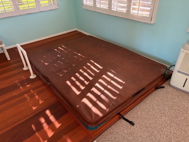 1894 Elizabeth Lane Mount Dora FL 32757 O6349472 image39