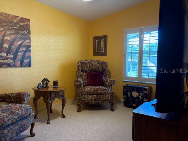 1894 Elizabeth Lane Mount Dora FL 32757 O6349472 image47