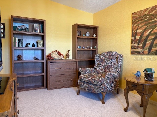 1894 Elizabeth Lane Mount Dora FL 32757 O6349472 image48