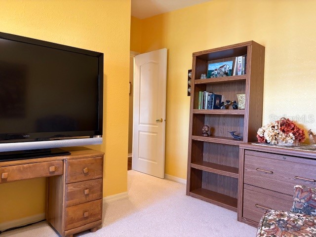 1894 Elizabeth Lane Mount Dora FL 32757 O6349472 image49