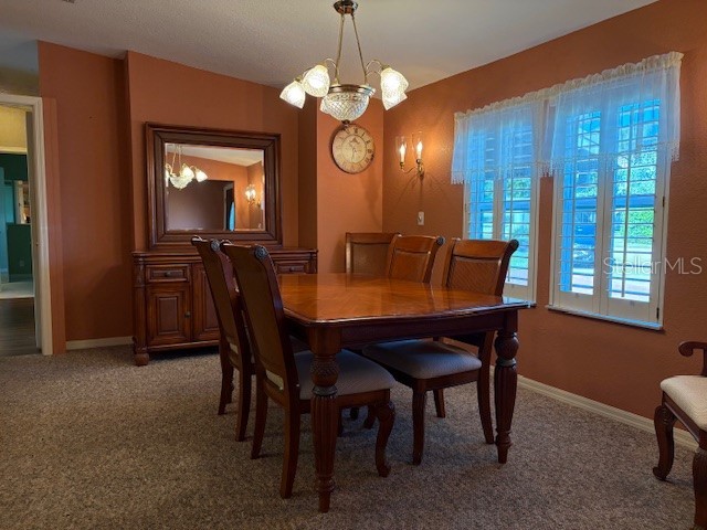 1894 Elizabeth Lane Mount Dora FL 32757 O6349472 image6