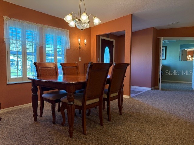 1894 Elizabeth Lane Mount Dora FL 32757 O6349472 image7