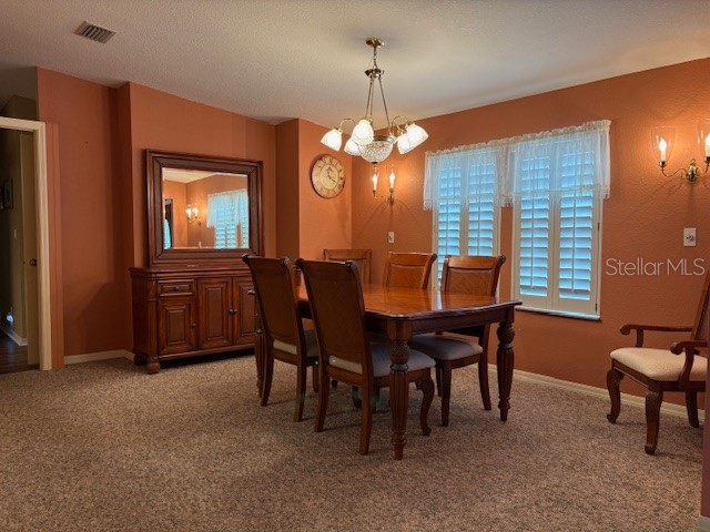 1894 Elizabeth Lane Mount Dora FL 32757 O6349472 image8