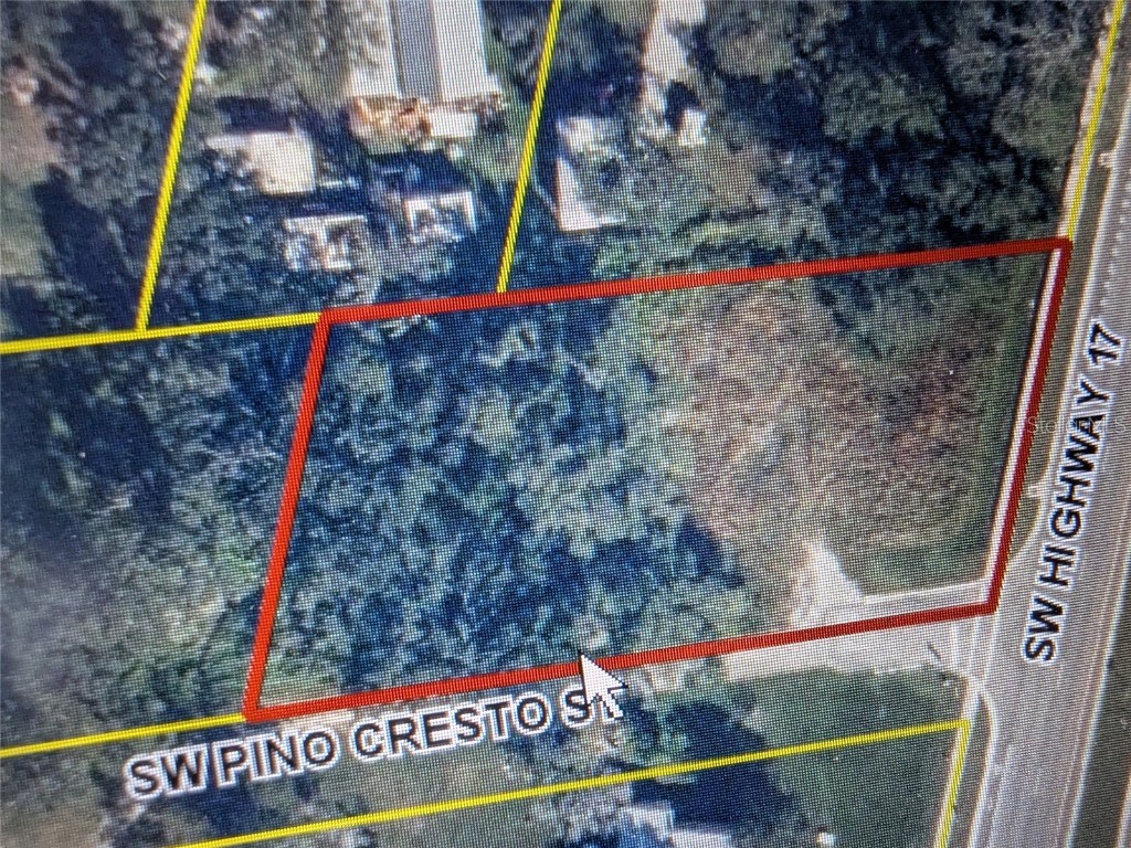 1894 SW Pino Cresto Street Arcadia FL 34266 C7511033 image1