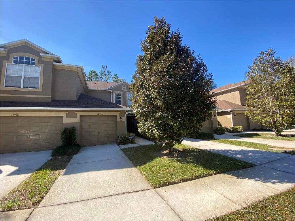18940 Duquesne Drive Tampa FL 33647 T3349946 image1