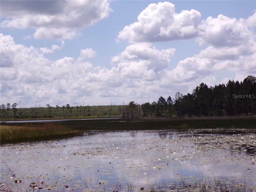18940 SE 54th Place Ocklawaha FL 32179 - WELLS POND OM676382 image1