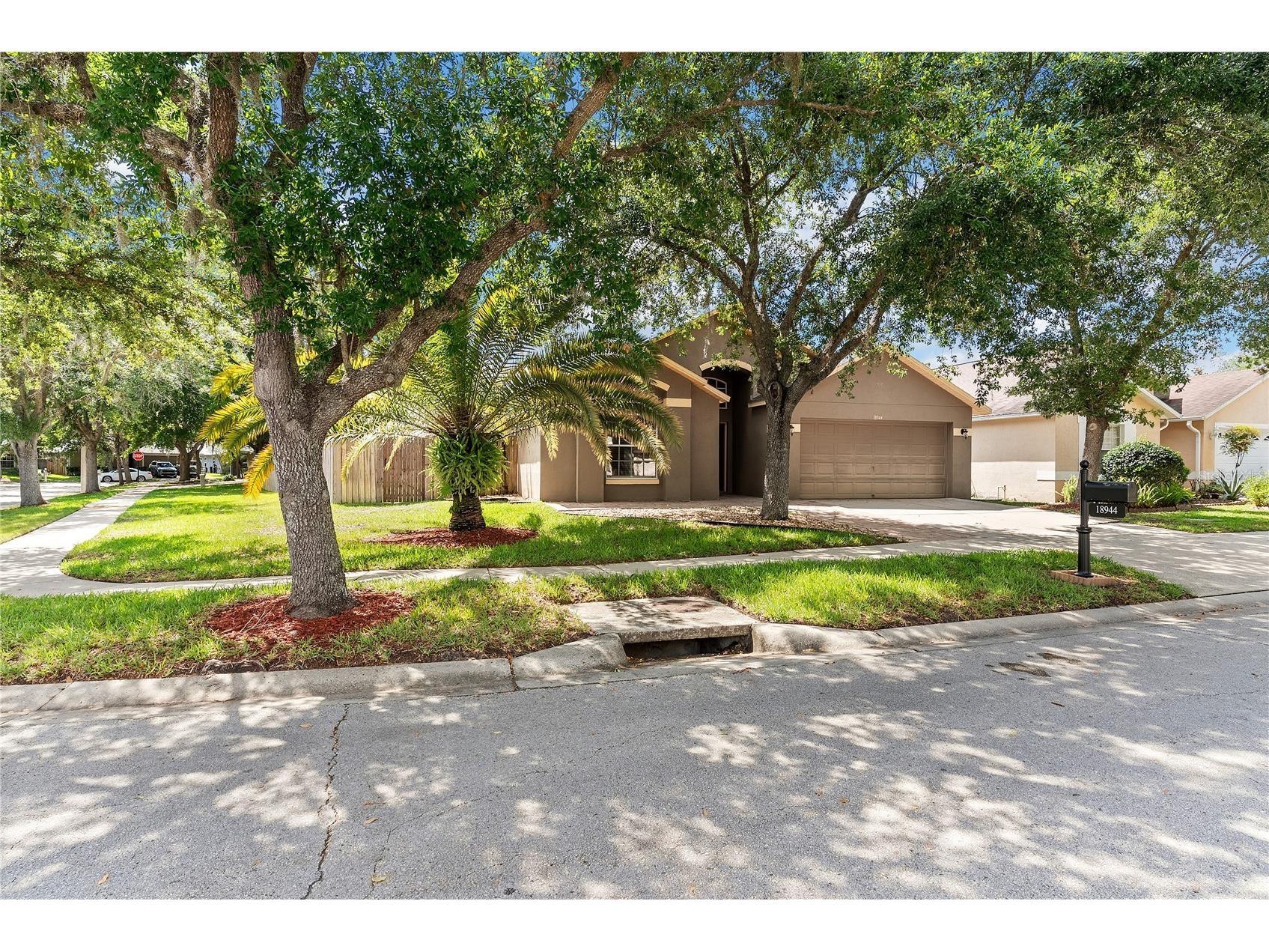18944 Twinberry Drive Tampa FL 33647 TB8507743 image3