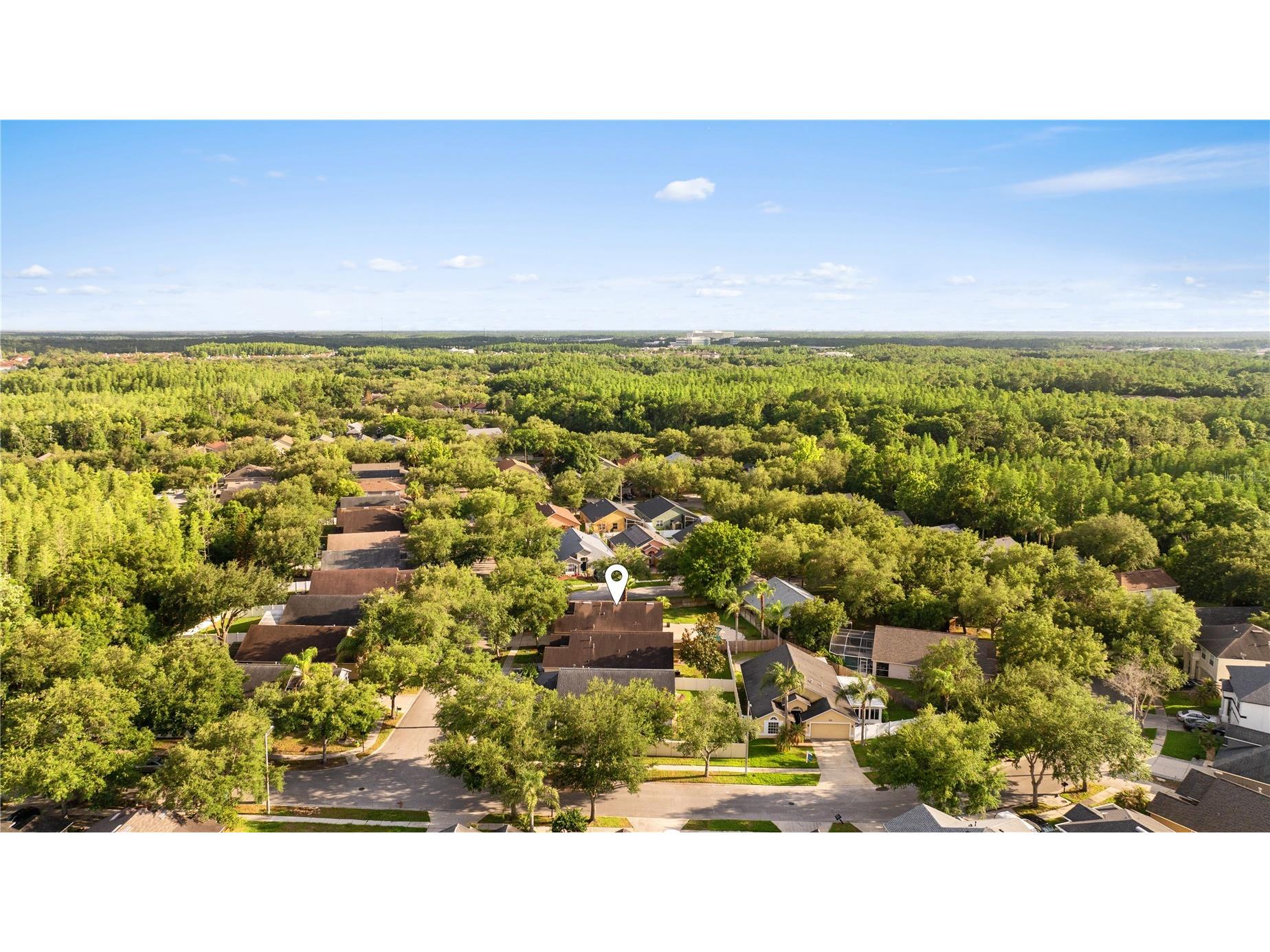 18944 Twinberry Drive Tampa FL 33647 TB8507743 image34