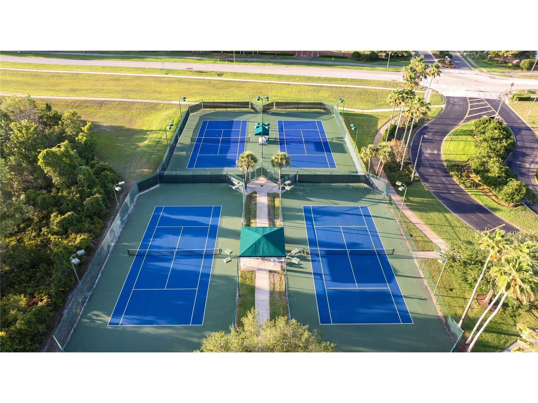 18944 Twinberry Drive Tampa FL 33647 TB8507743 image38