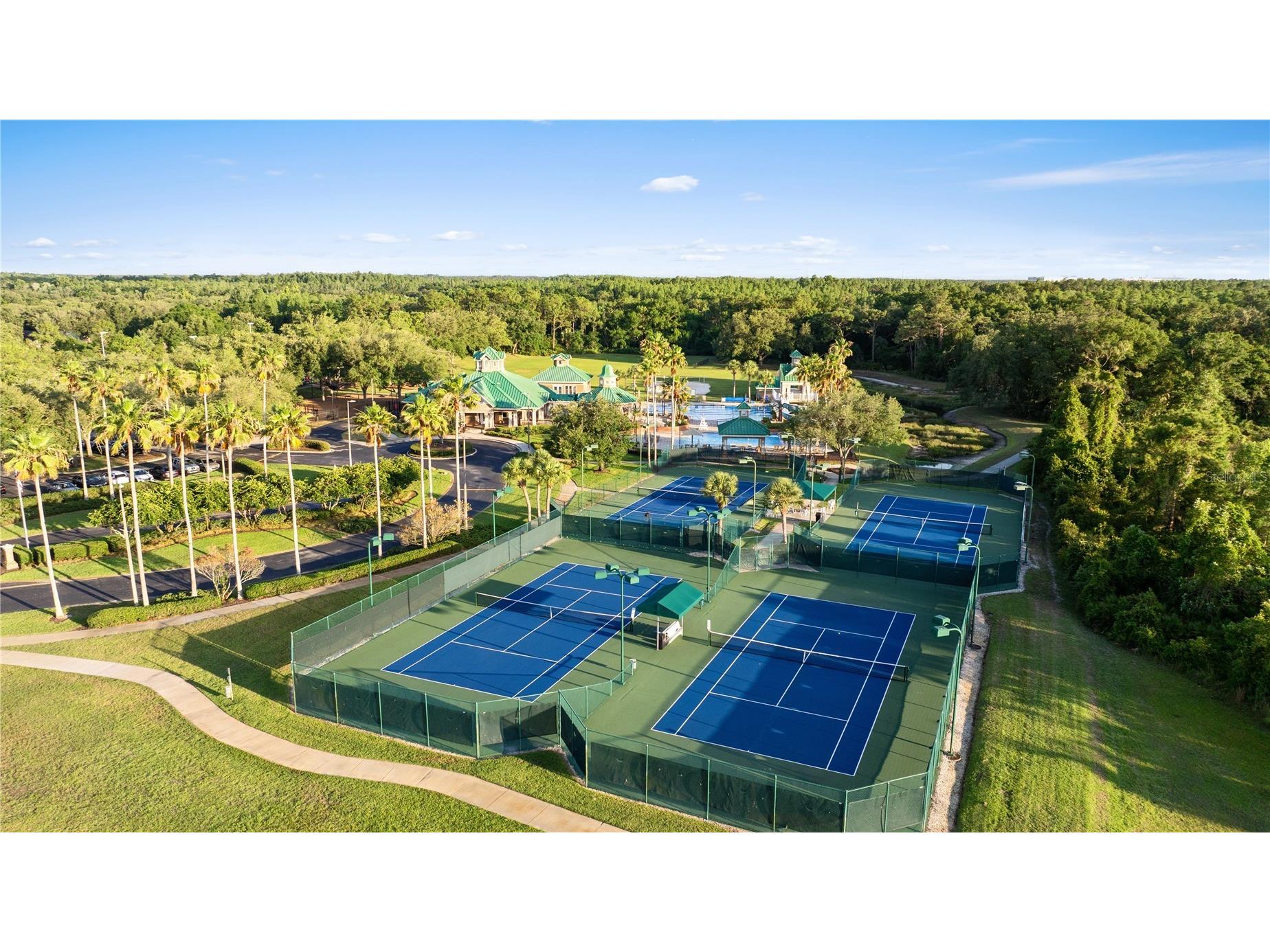 18944 Twinberry Drive Tampa FL 33647 TB8507743 image39