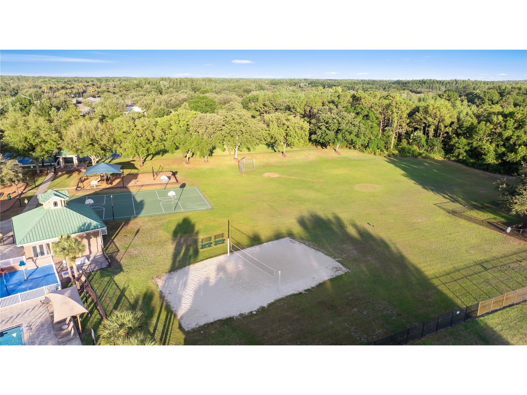 18944 Twinberry Drive Tampa FL 33647 TB8507743 image40