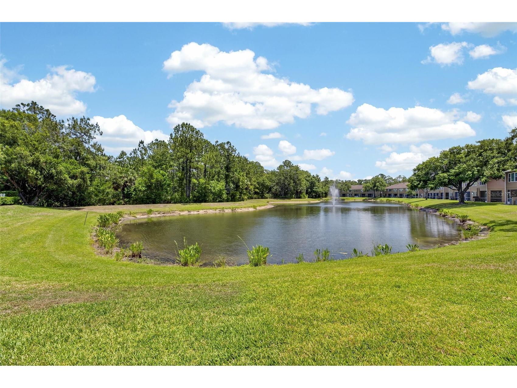 18947 Duquesne Drive Tampa FL 33647 TB8510871 image47