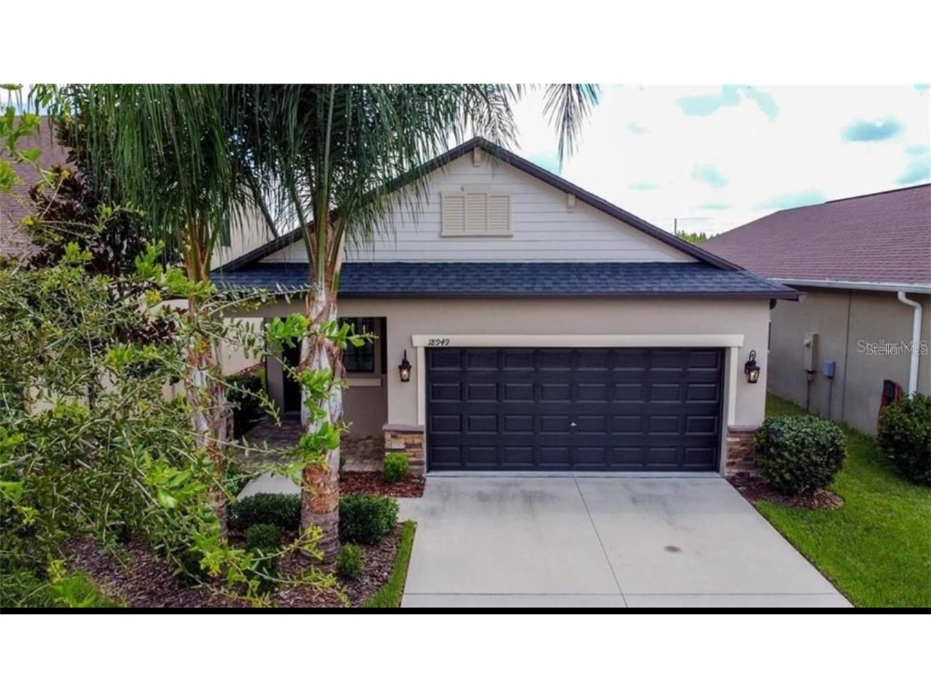 18949 Hampstead Heath Court Land O Lakes FL 34638 T3501886 image1