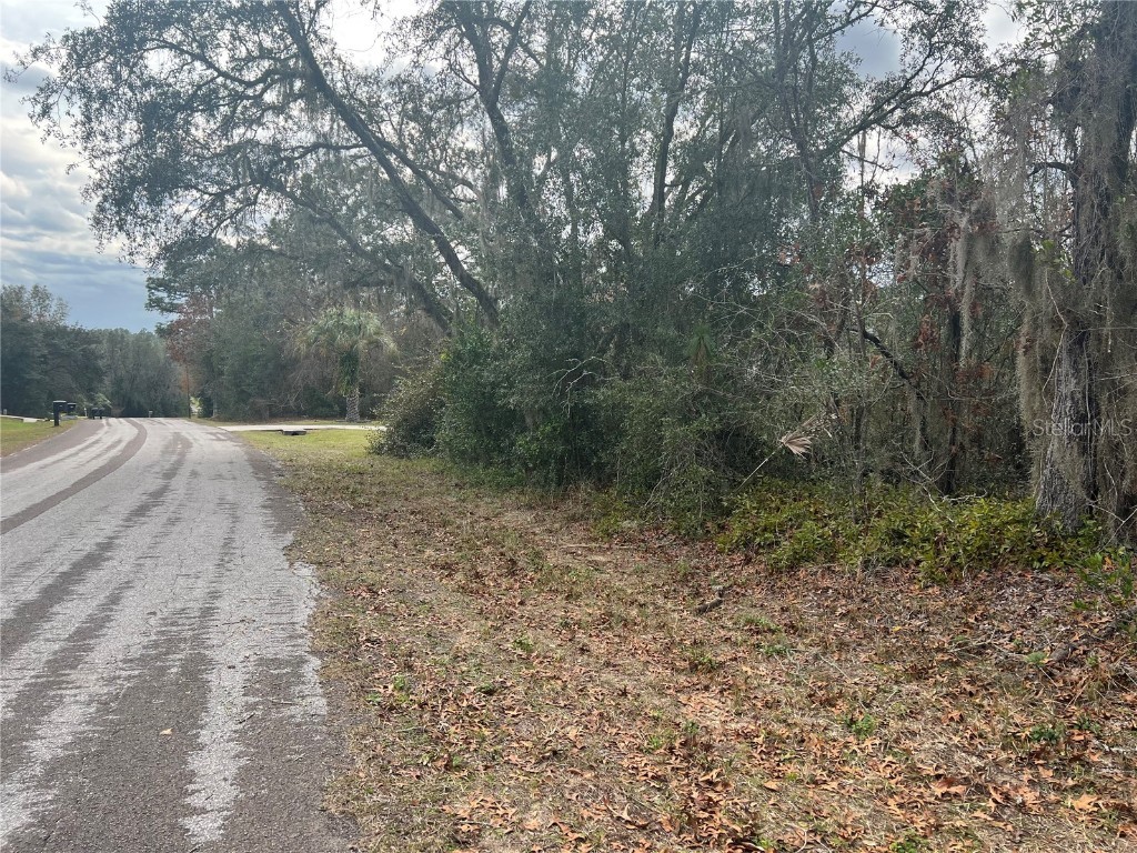 1895 E Monopoly Loop Inverness FL 34453 OM670787 image1