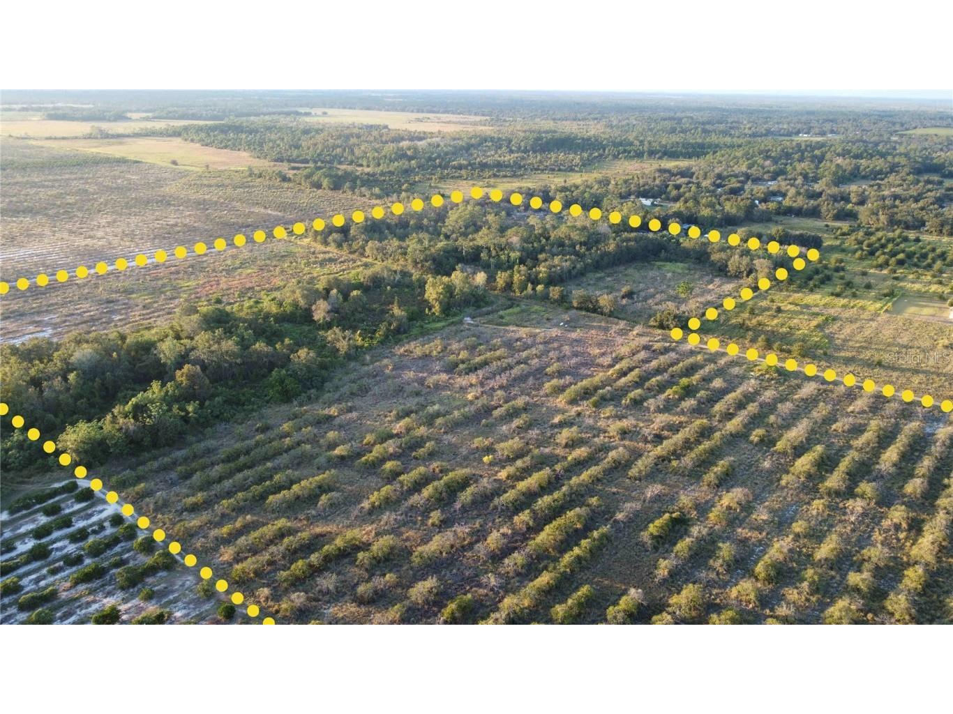 1895 Otto Polk Road Frostproof FL 33843 TB8442195 image2