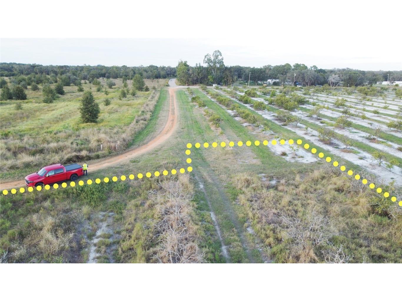 1895 Otto Polk Road Frostproof FL 33843 TB8442195 image3