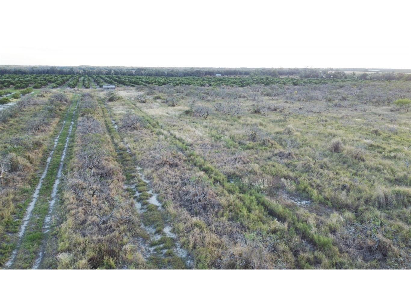 1895 Otto Polk Road Frostproof FL 33843 TB8442195 image5