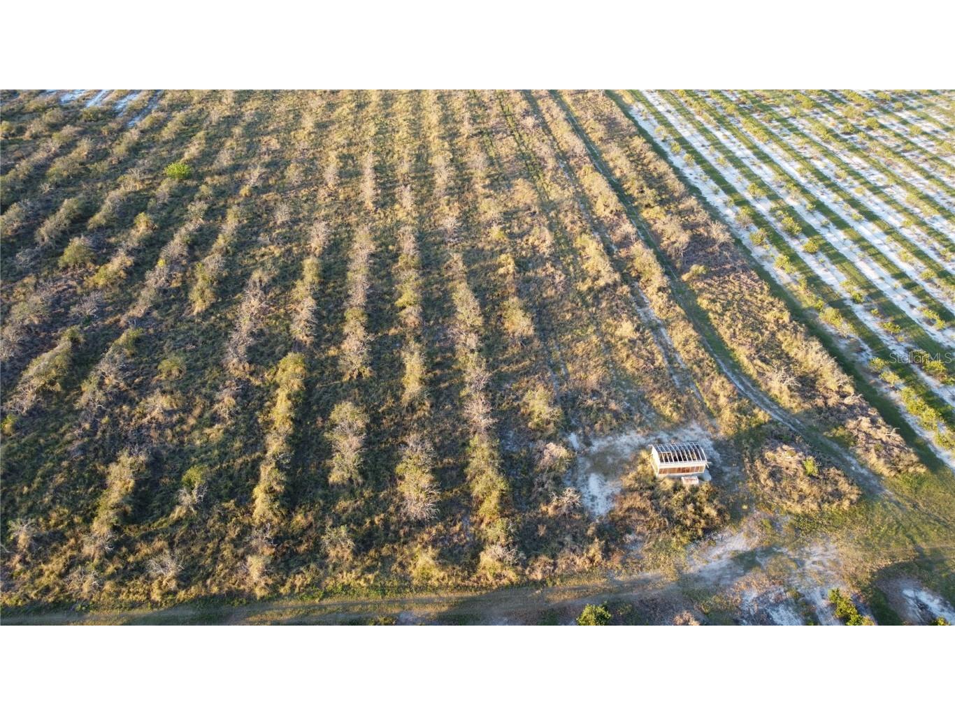 1895 Otto Polk Road Frostproof FL 33843 TB8442195 image6