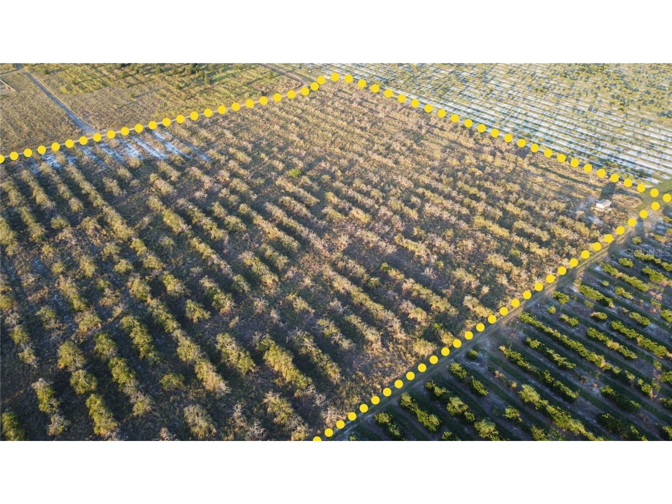 1895 Otto Polk Road Frostproof FL 33843 TB8442195 image7