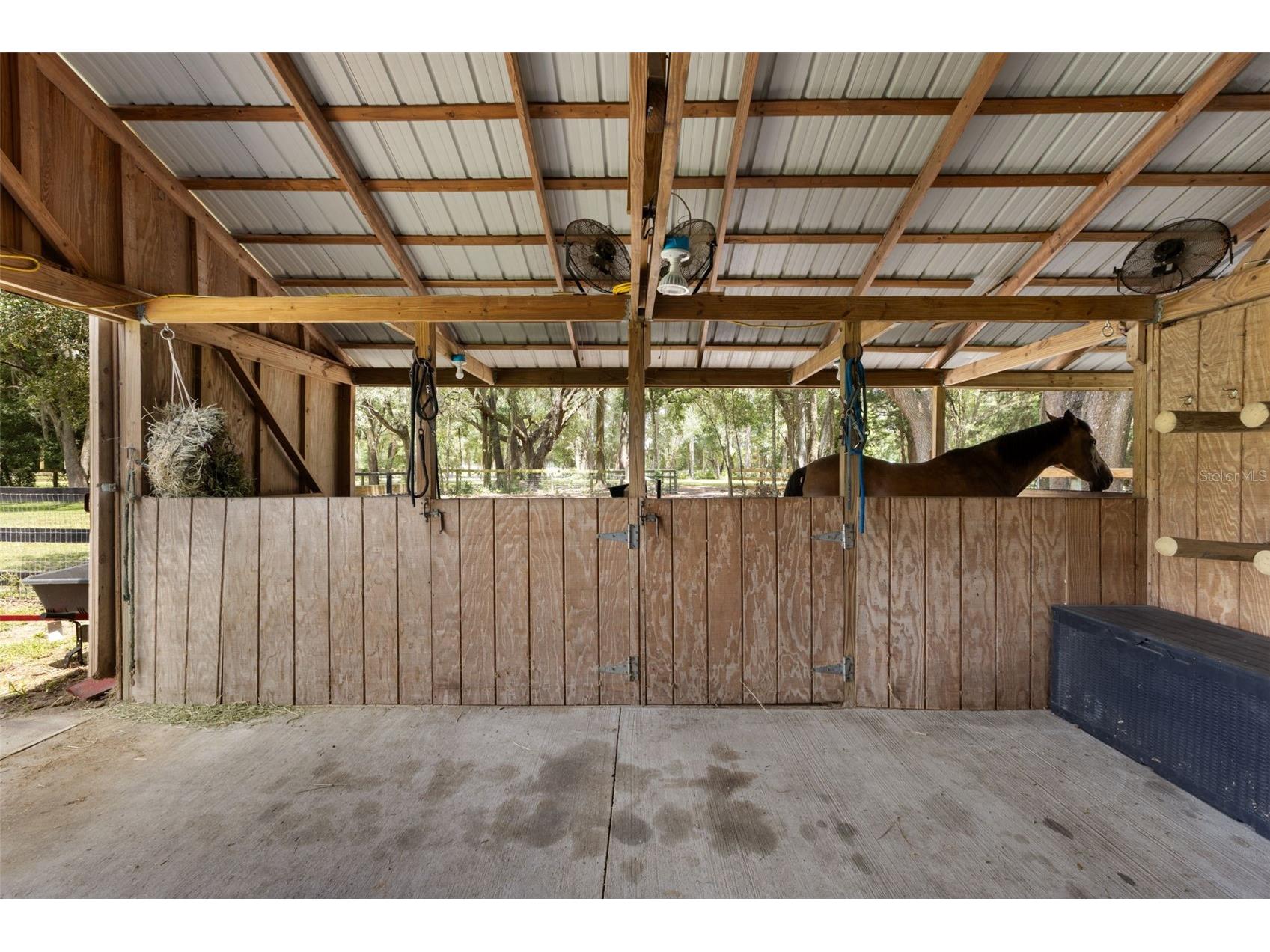 18950 NE 55th Street Williston FL 32696 GC541566 image34