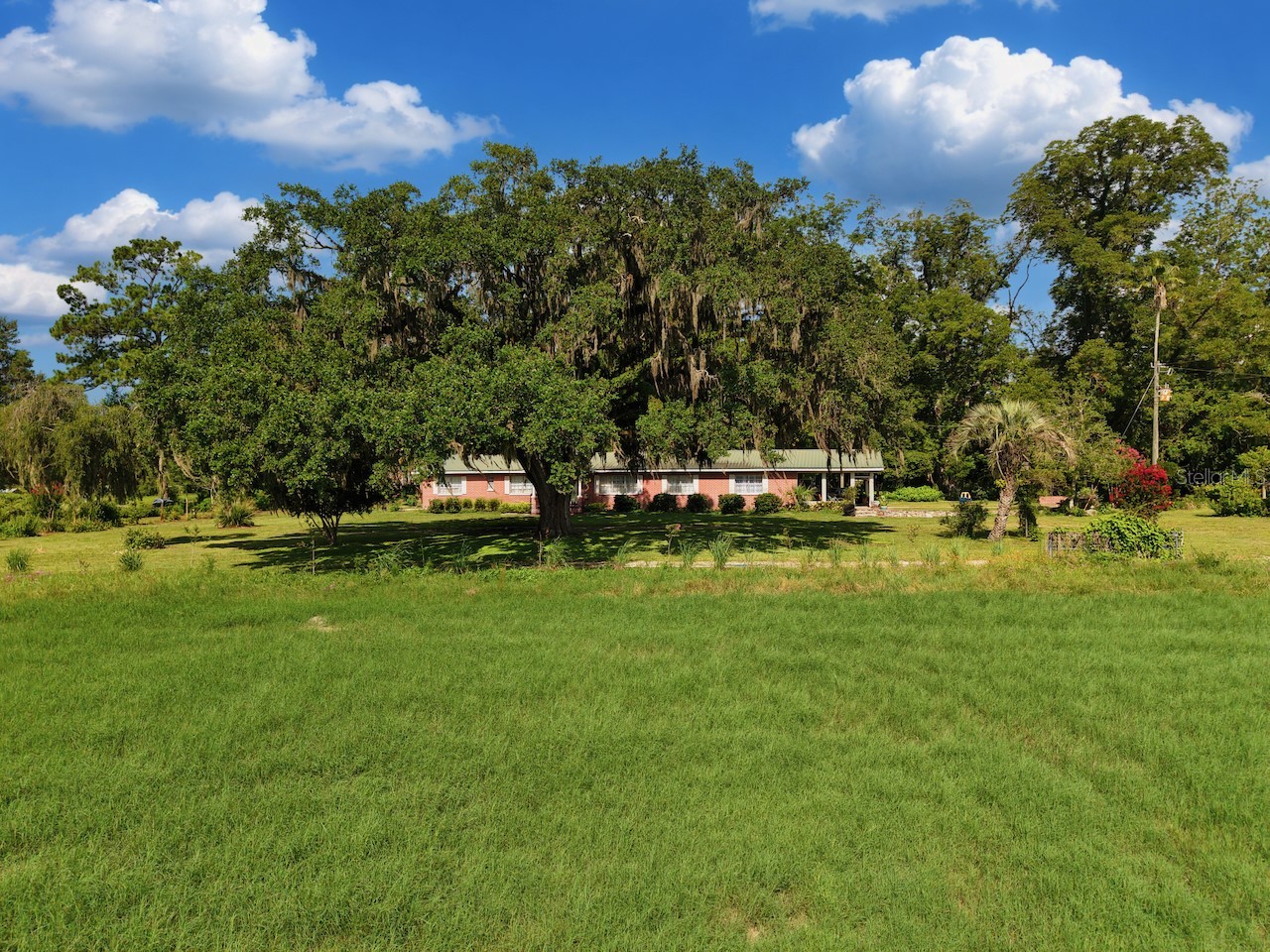 18951 SE 15th Street Williston FL 32696 OM728143 image5