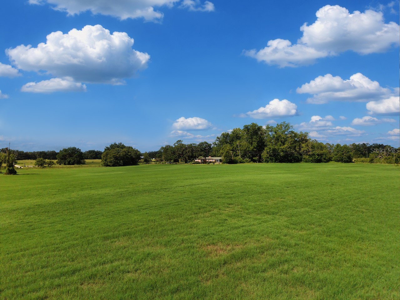 18951 SE 15th Street Williston FL 32696 OM728143 image54